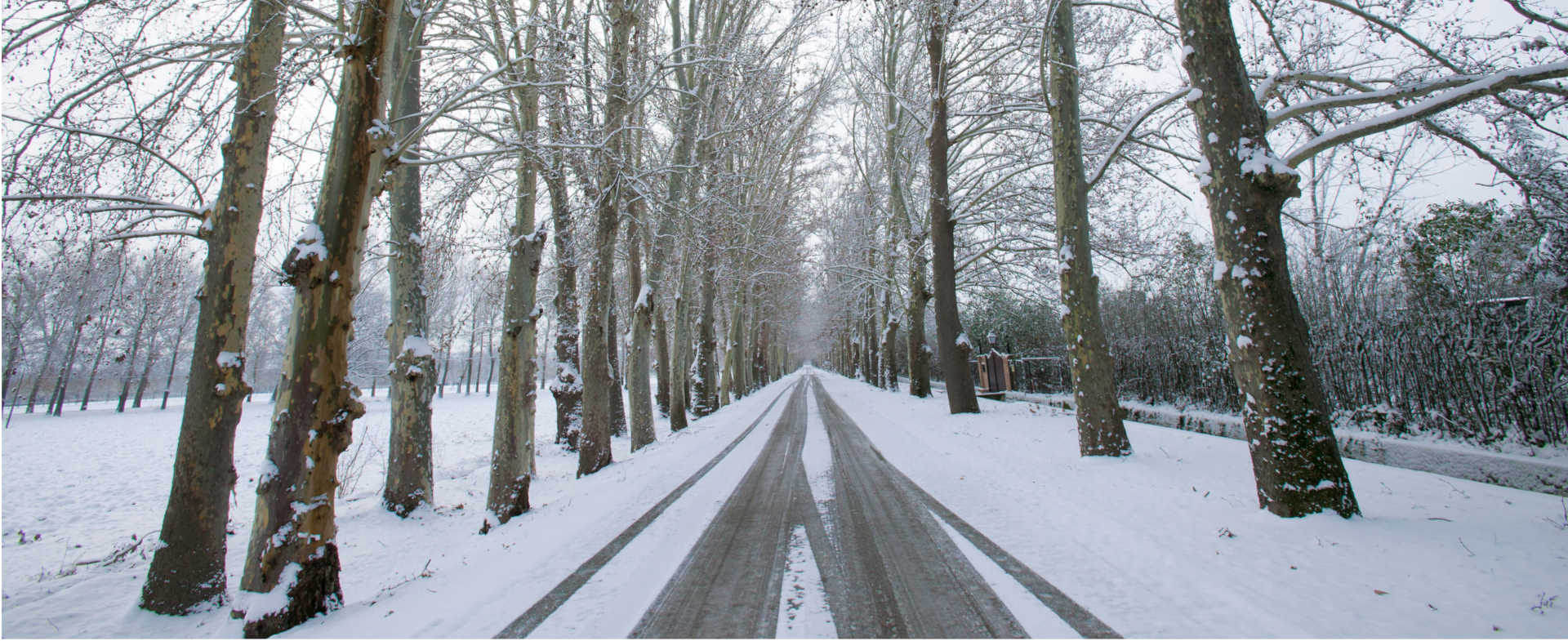 Carretera nevada Carretera nevada