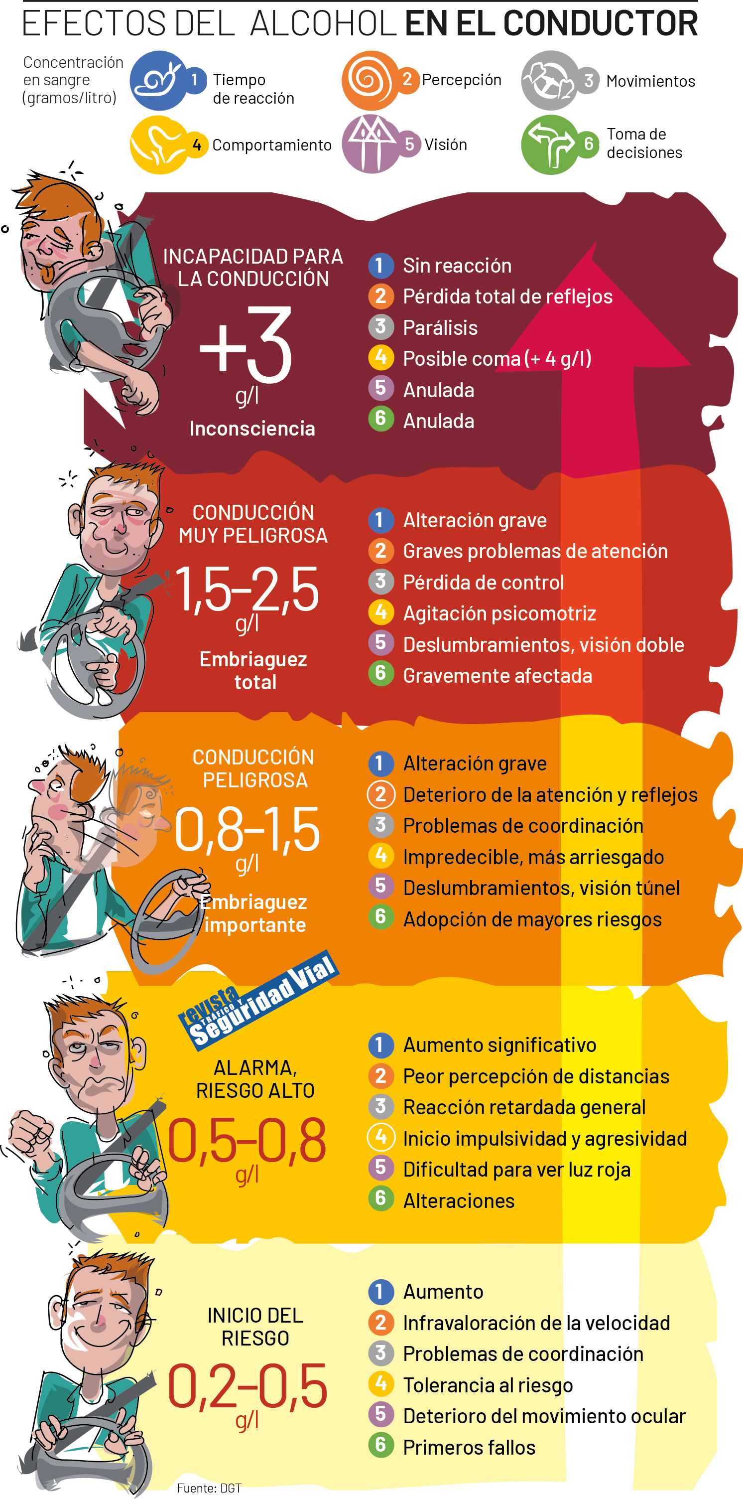 Infografía efectos del alcohol en el conductor